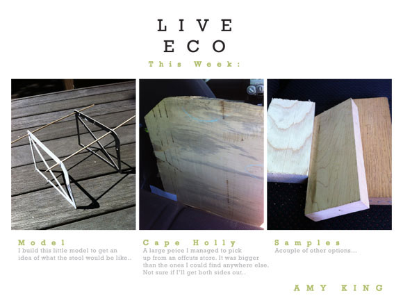 eco friendly design - avant garde object 2012
