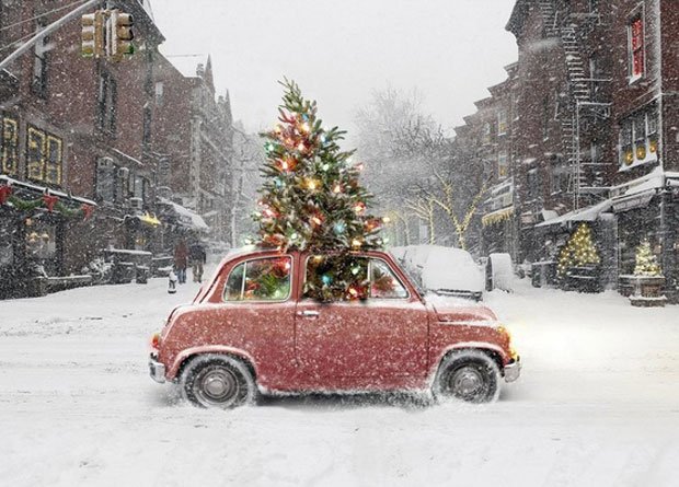 eco-christmas