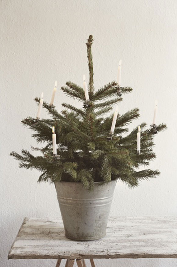 eco-friendly-christmas-tree3